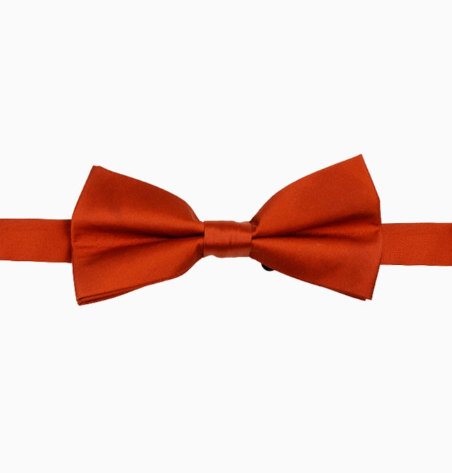 Noeud Papillon Terracotta Terre Homme en Polyester