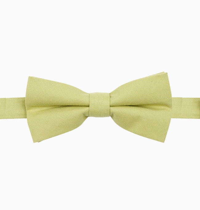 Noeud Papillon Vert Anis Homme en Coton Côtelé