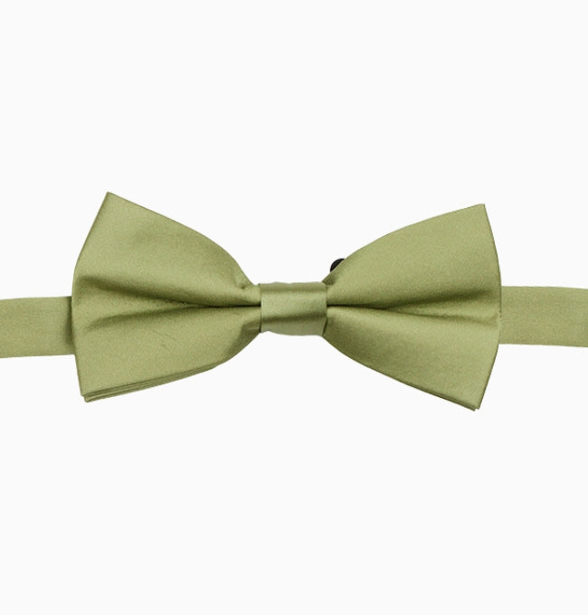 Noeud Papillon Vert Amande Homme en Polyester