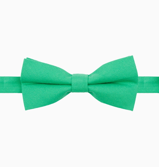 Noeud Papillon Vert Menthe Homme en Coton Côtelé