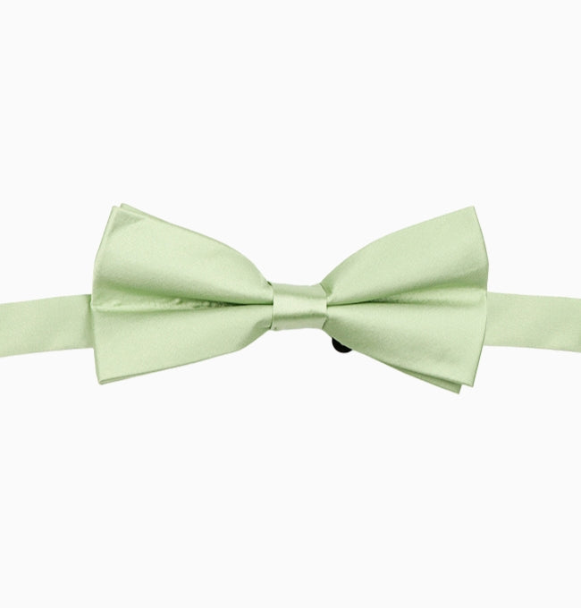 Noeud Papillon Vert d'Eau Homme en Polyester