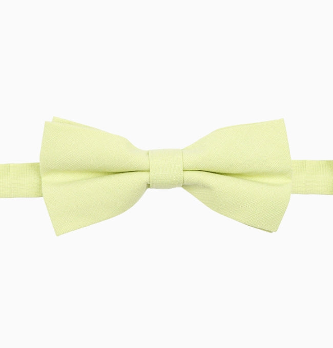 Noeud Papillon Vert Anis Homme en Coton