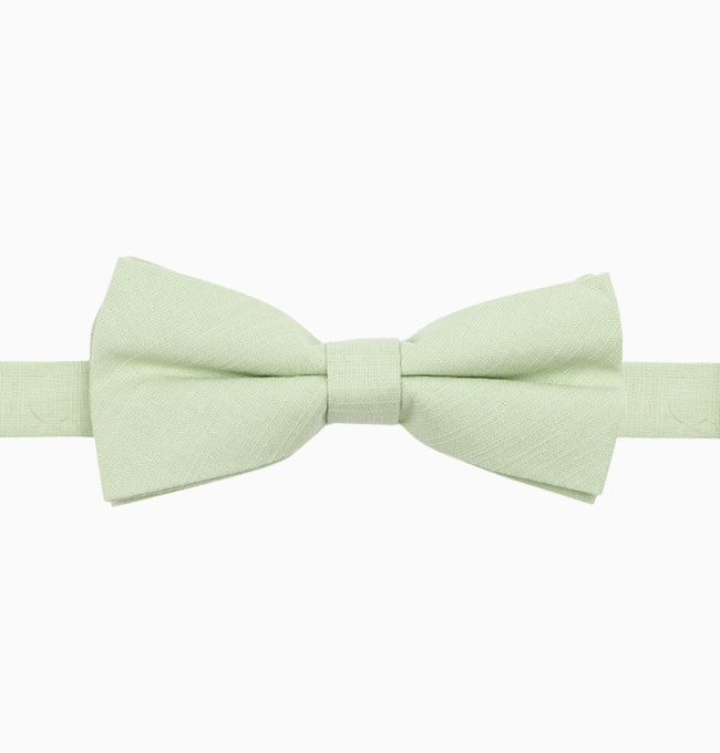 Noeud Papillon Vert Menthe Homme en Coton