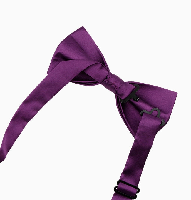 Noeud Papillon Violet Aubergine Homme en Polyester