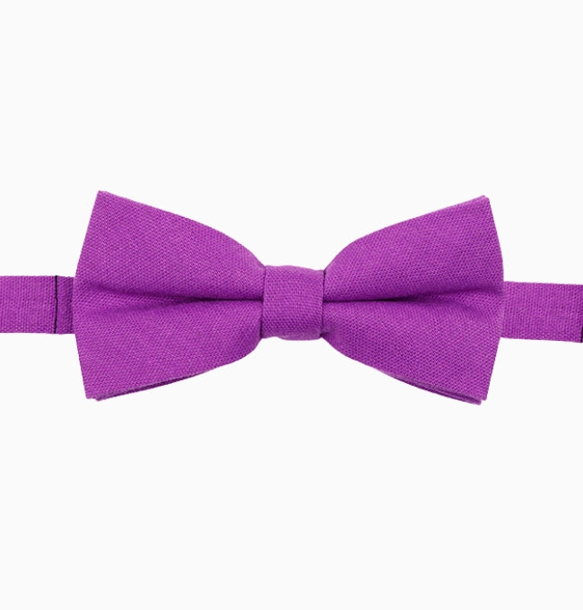 Noeud Papillon Violet Homme en Lin
