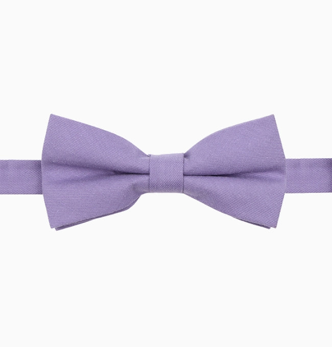 Noeud Papillon Violet Prune Homme en Coton Côtelé