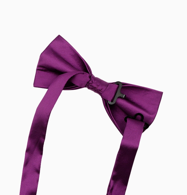 Noeud Papillon Violet Prune Homme en Polyester