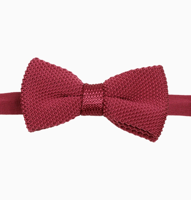 Noeud Papillon Violet Prune Homme en Tricot